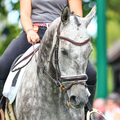 Reprise dressage Galop 4 - Ecurie des Lumières